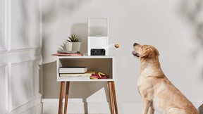 Petcube Bites 2 Wi-Fi Pet Camera with Treat Dispenser is a great way to stay in touch with your pet.