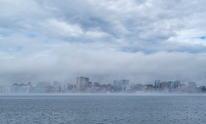 Halifax Water says people are not preserving themselves; insists on compliance Halifax Water says people are not preserving themselves; insists on compliance