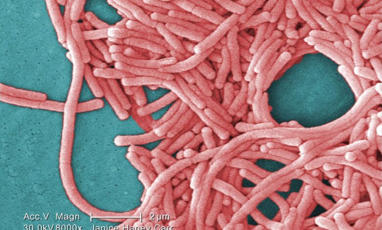 Outbreaks of Legionnires’ disease again in London, on., As probably the source has found