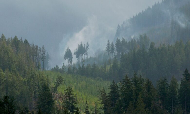 Most evacuation orders, warnings for Wildfire in Vancouver Island, but First Nations hit by road closures