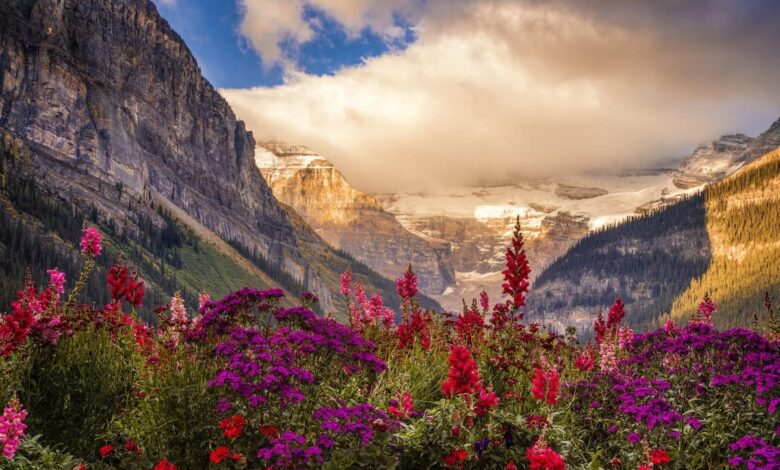 IRCC has a first Express withdrawal of Augustus