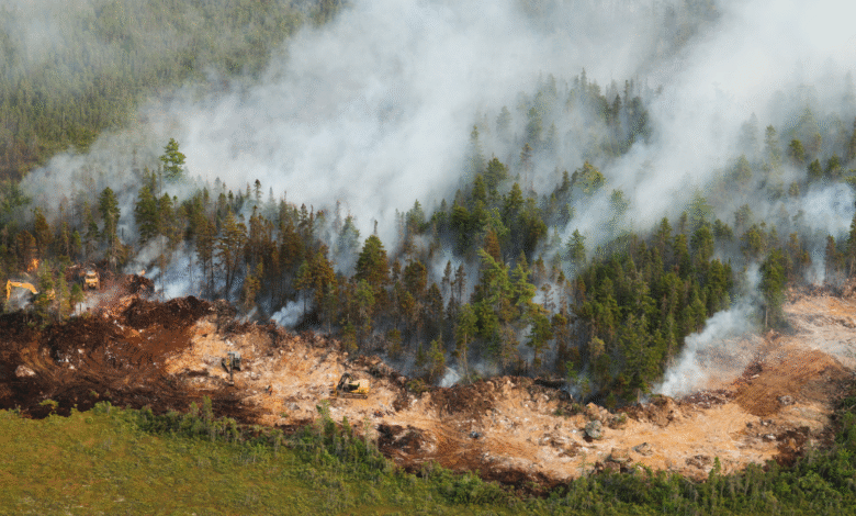Long Lake Fire grows with strong wind; Rain expected Monday