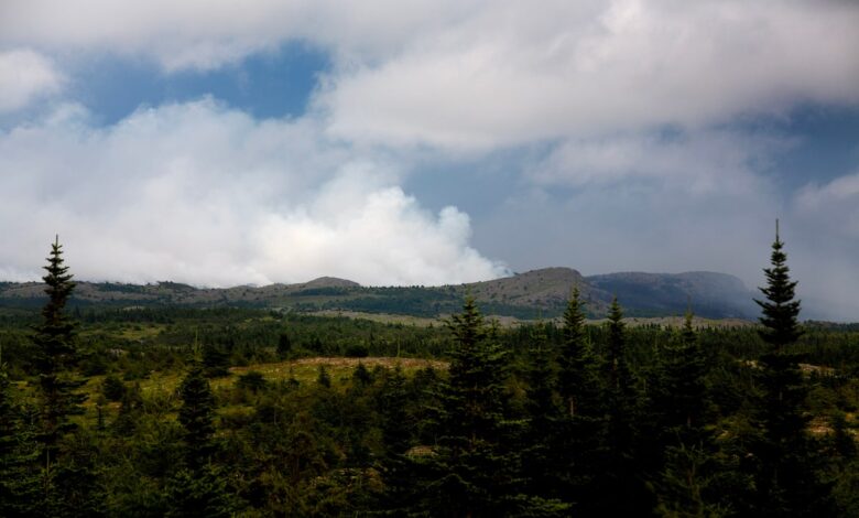 Nova Scotia Wildfire is growing, while firefighters in Newfoundland helped with cooler temperatures Nova Scotia Wildfire is growing, while firefighters in Newfoundland helped with cooler temperatures