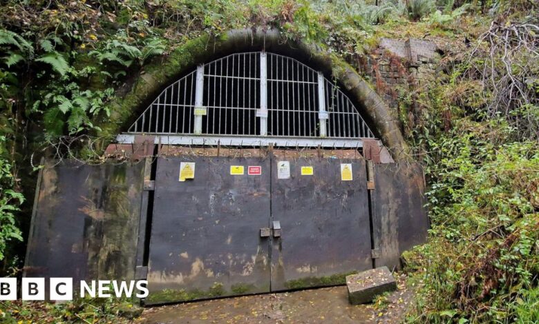 Campaigners are looking for a judicial assessment to save tunnel