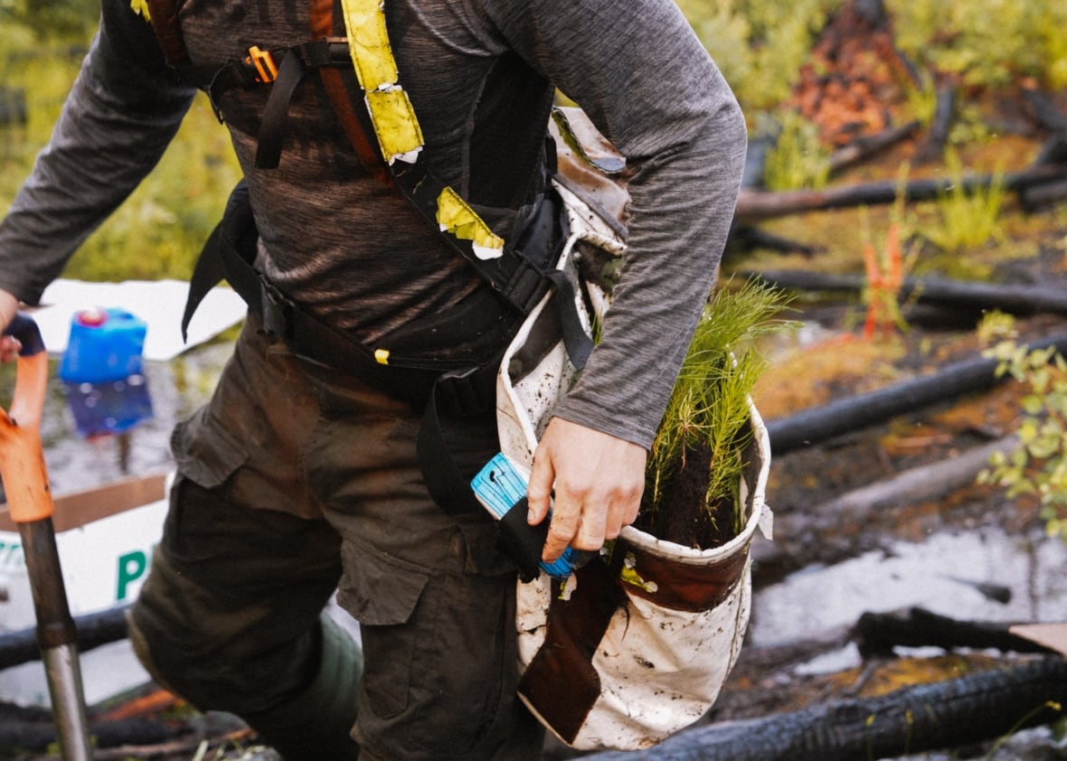 A forest builder with a bag of young trees
