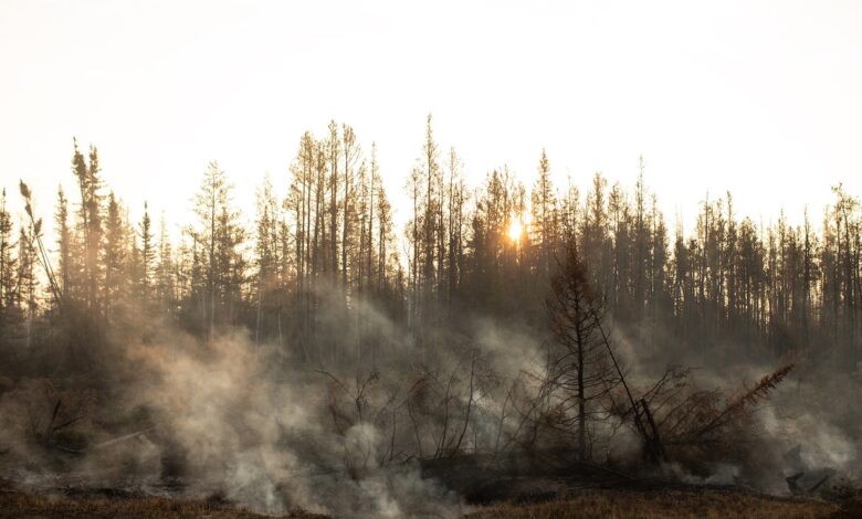Two northwestern areas of communities under evacuation warrant while forest fires are burning in the neighborhood